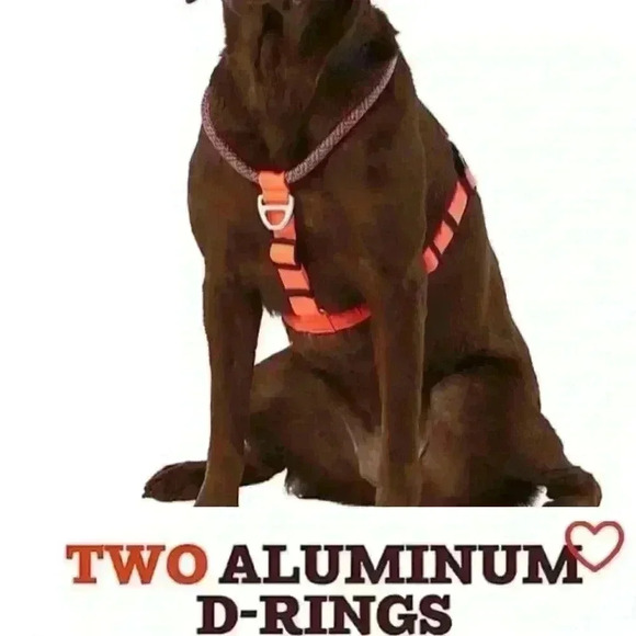 Arcadia Trail Rope Dog Harness, Turqouise, “Mountain Dew” Green, Size Large - Picture 12 of 12